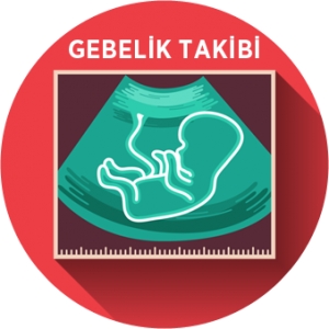 Gebelik İzlemleri