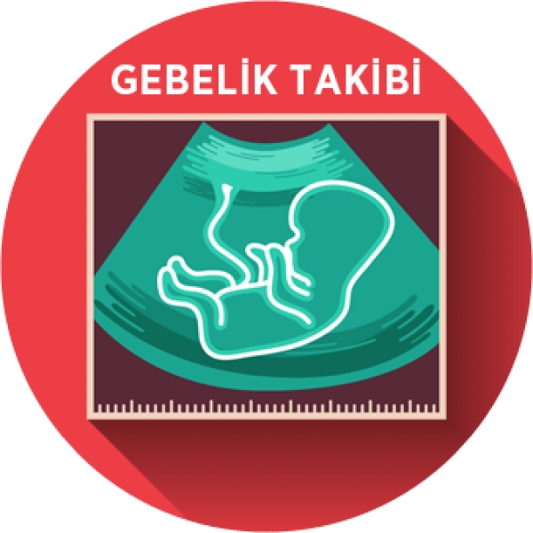 Gebelik İzlemleri