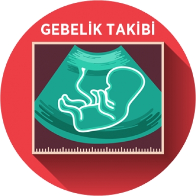Gebelik İzlemleri